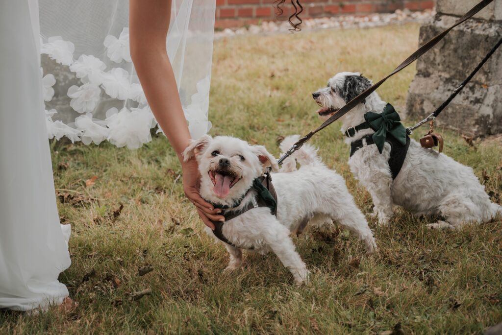 Hochzeit Lüttelforster Mühle